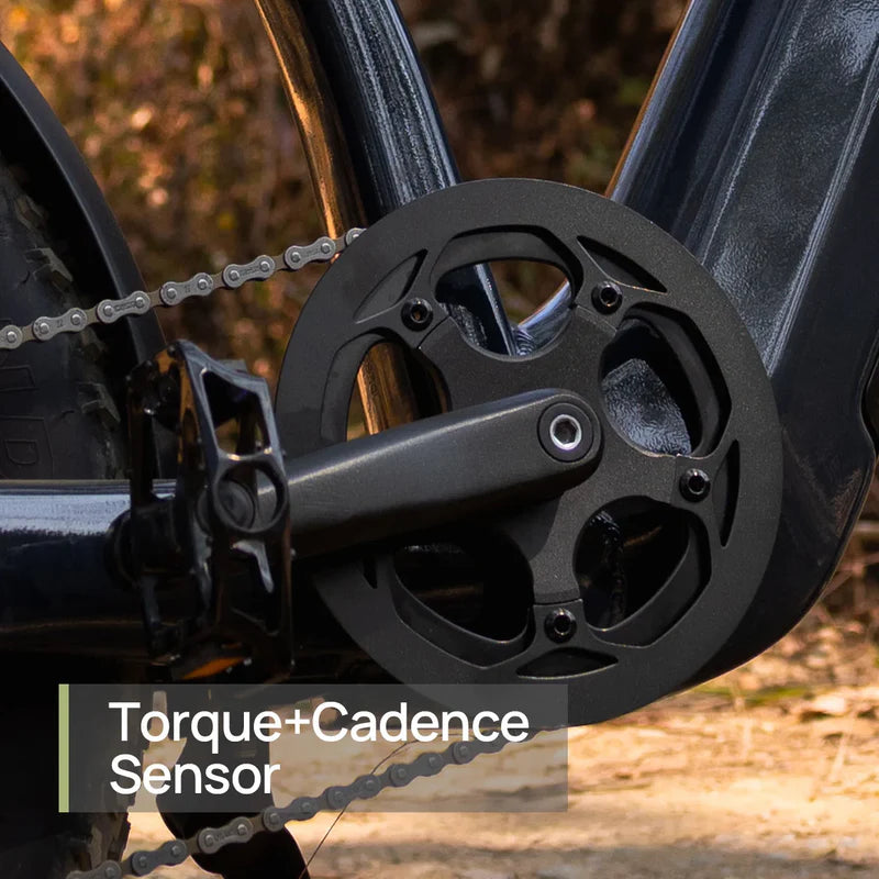 NOVA Step Thru E-Bike