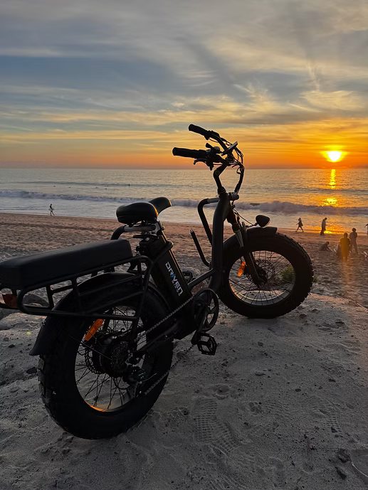 HD Mini Cargo Step Through EBike