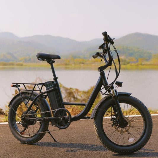 EC540 E-Bike